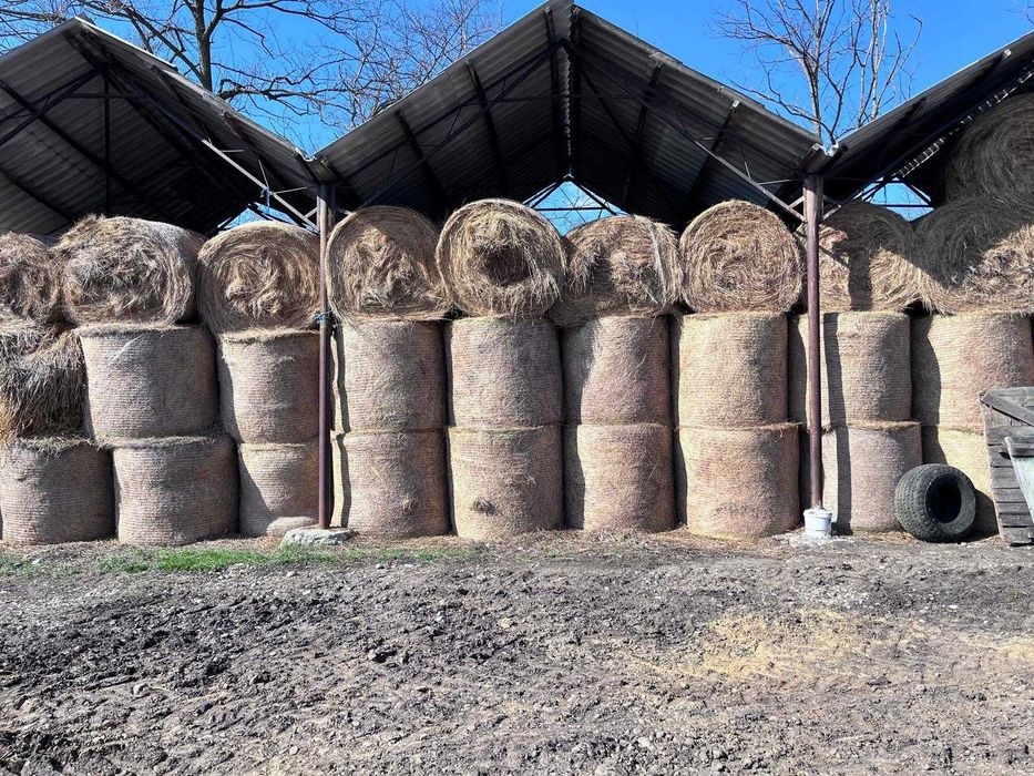 Baloți rotunzi de fân 140x120