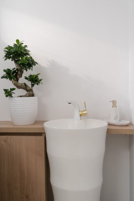 Inchiriez post cosmetica/gene/masaj etc