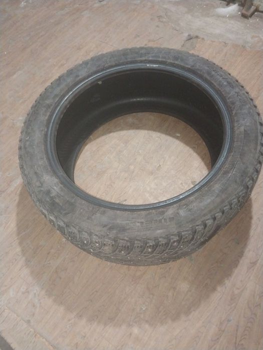 шина r21. шипованная