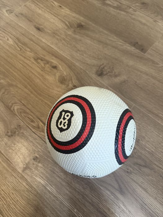 Minge de pe stadionul Besiktas