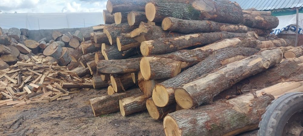 Lemne de foc uscate stejar,fag si carbuni