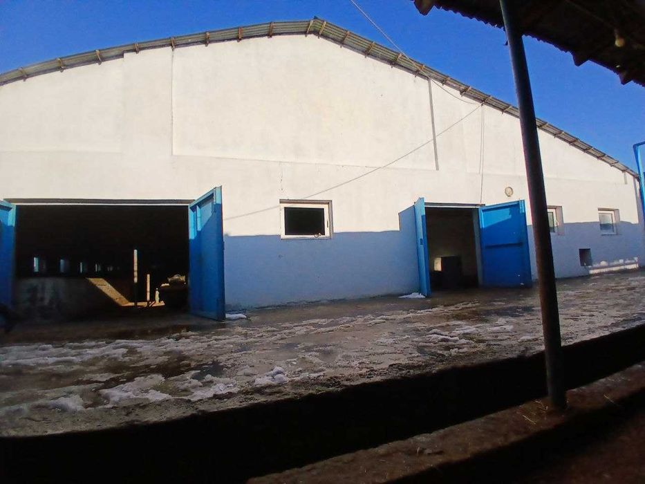 Продажа готовый бизнес 20соток Аргин Кипчок