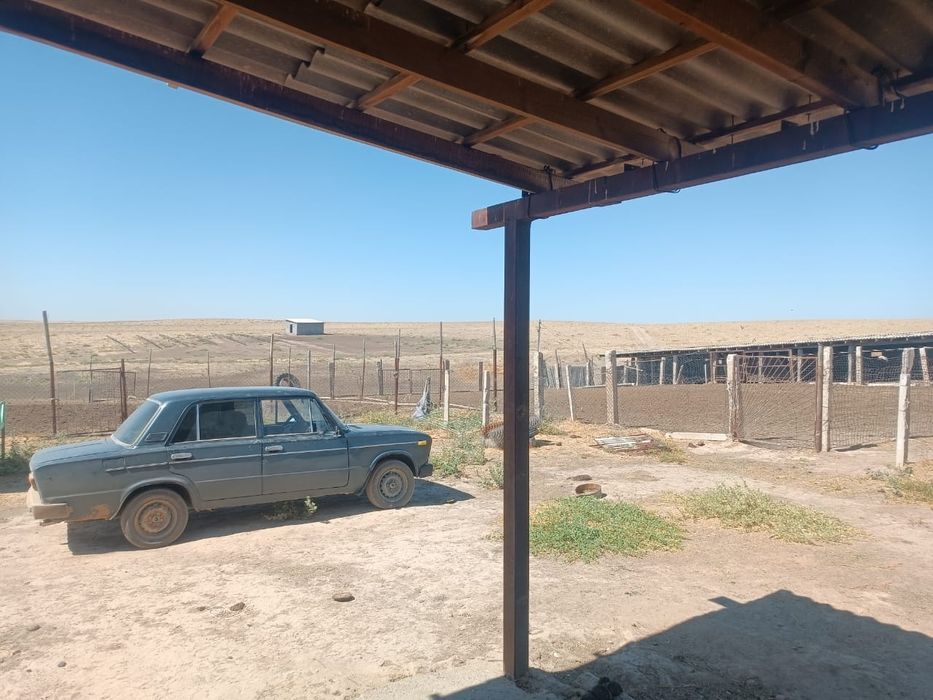 Қой қорамен сатылады