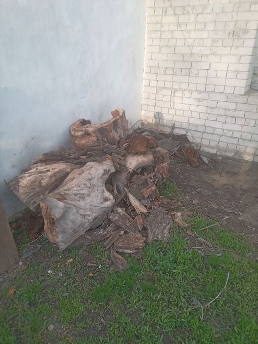 Отдам даром дрова