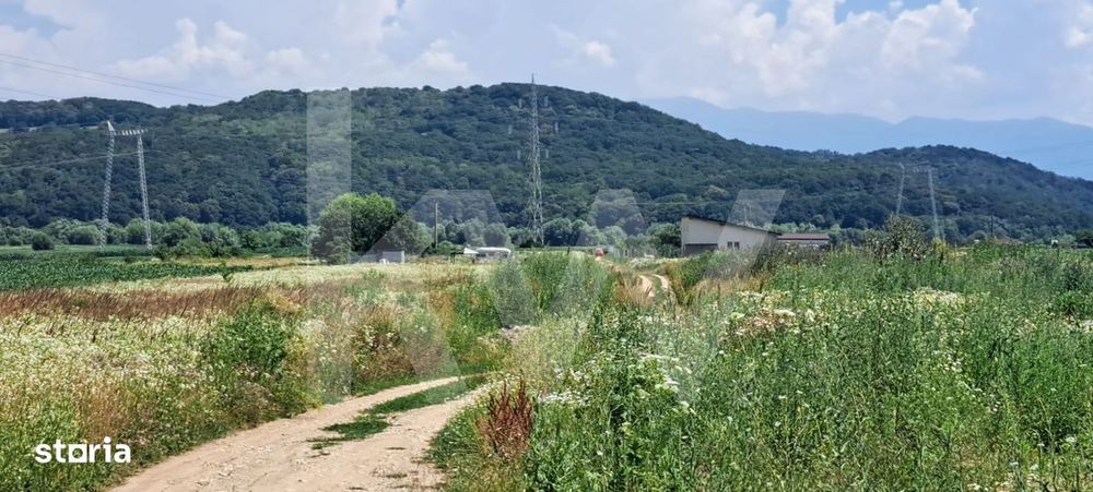 Teren de Vanzare zona Selimbar-Bungard