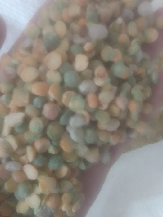 Полова Отходы Отруби корма