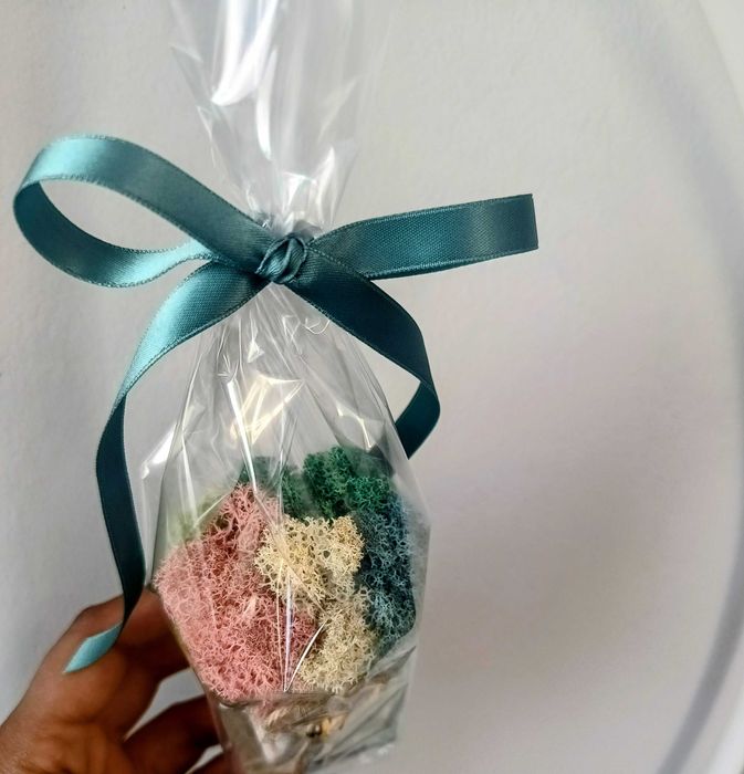 Стъклени кашпи със скандинавски мъх