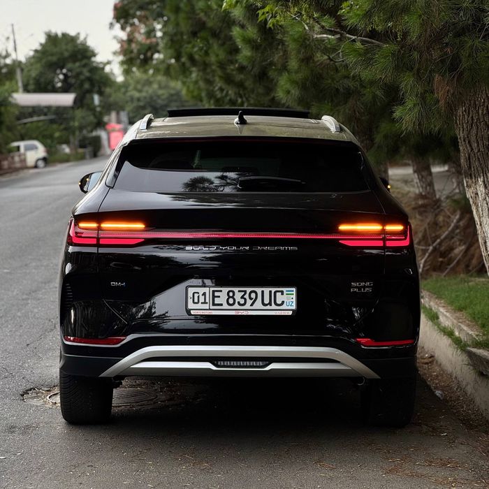 BYD Champion gibrid Ideal