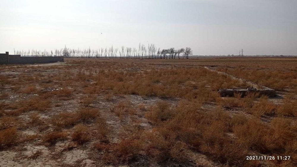 6 sotihli yer maydoni sotiladi Manzil Qarshi shahri Beklar massivi.