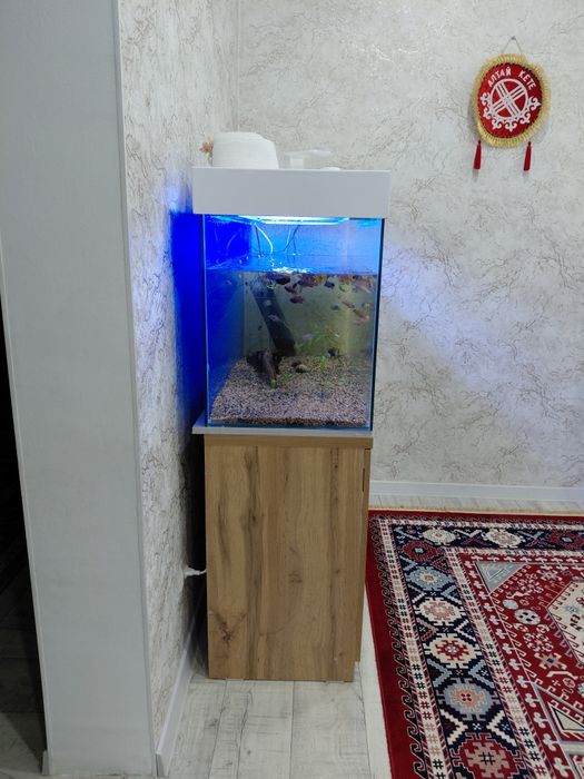 Продам аквариум,