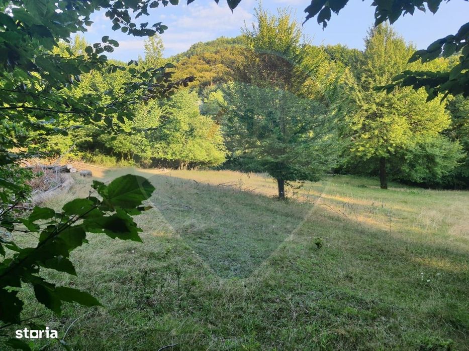 Poiană pentru cabana de vanzare intravilan Coas