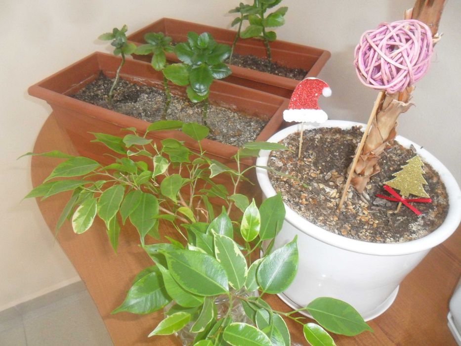 Samsung ES65 12.2 Мpx