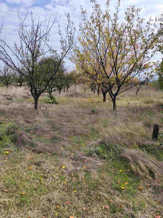 Продава се Къща в Шумен, Дивдядово - 1500 кв.м за 51 €/кв.м - Снимка #7