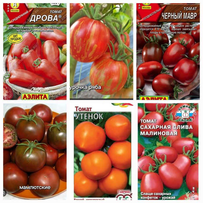 Рассада овощей и цветов