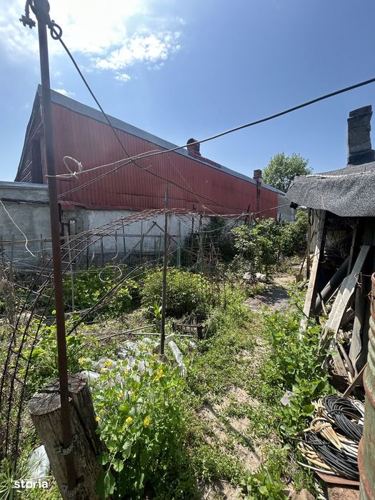 Casă 3 camere în Andronache, curte mare