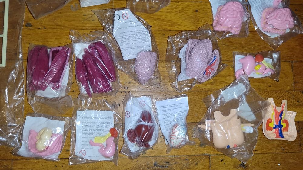 Corpul Omenesc colecție