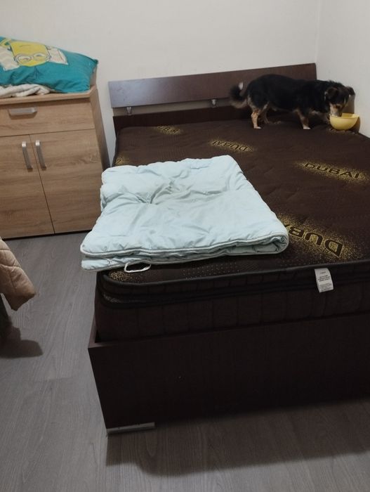 Saltea Dubai Chocolate Deluxe Memory Pocket 28 cm 140/200