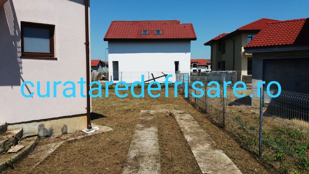 Curatare teren, iarba, ambrozie, maracini, arbusti, imprejmuire