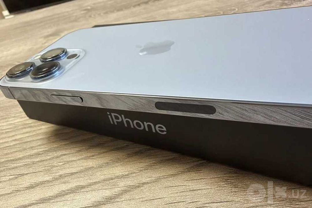 IPhone 13 Pro Max ideal
