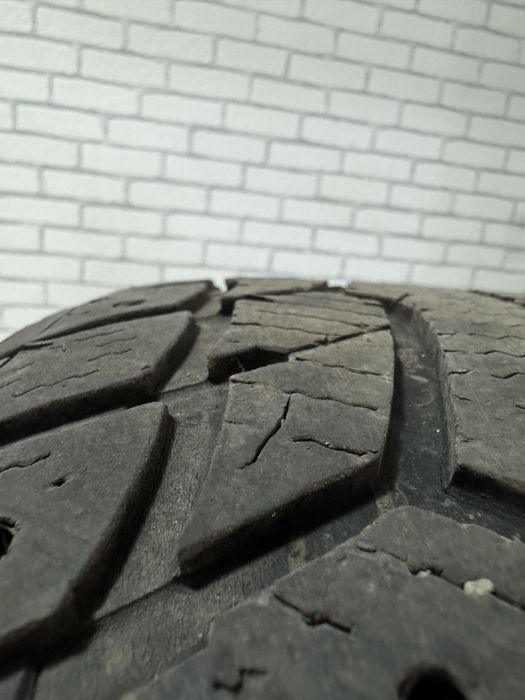 Шины зимние Ecovision