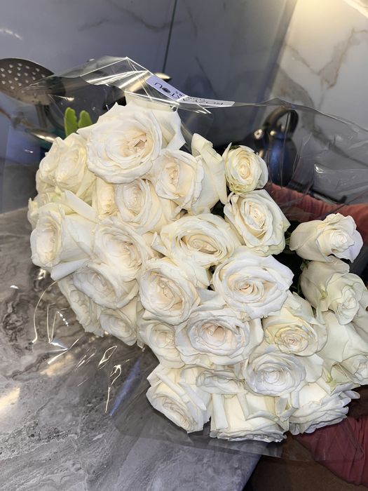 Цветы розы Актау свежие