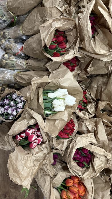 Тюльпаны 70–80 см | Астана