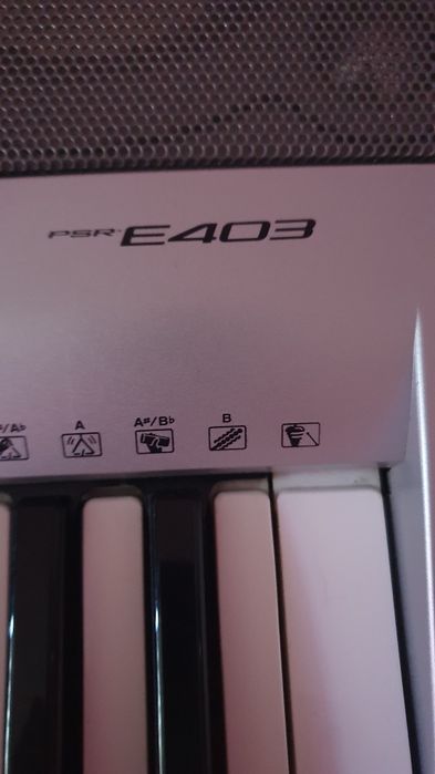 Orga Yamaha psr e403