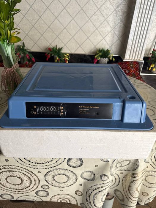 Inkubator tuxum o’chtirish uchun holati a’lo