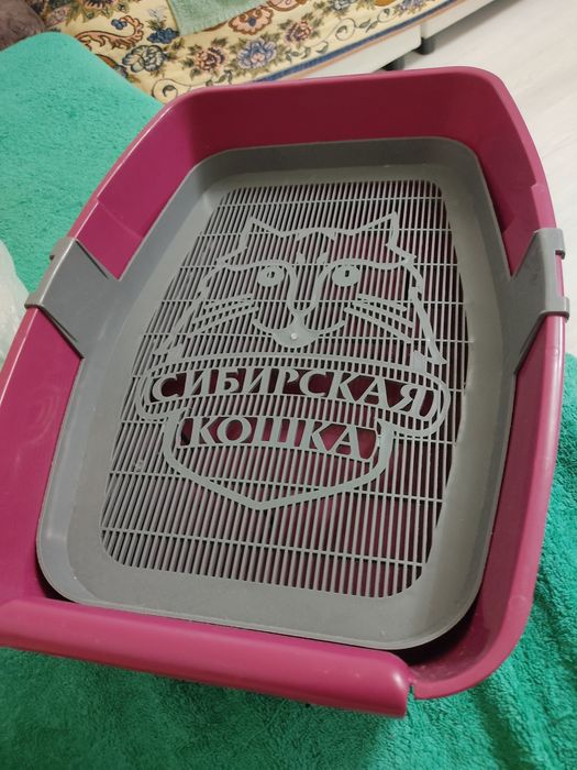 Латок для кошек и котят