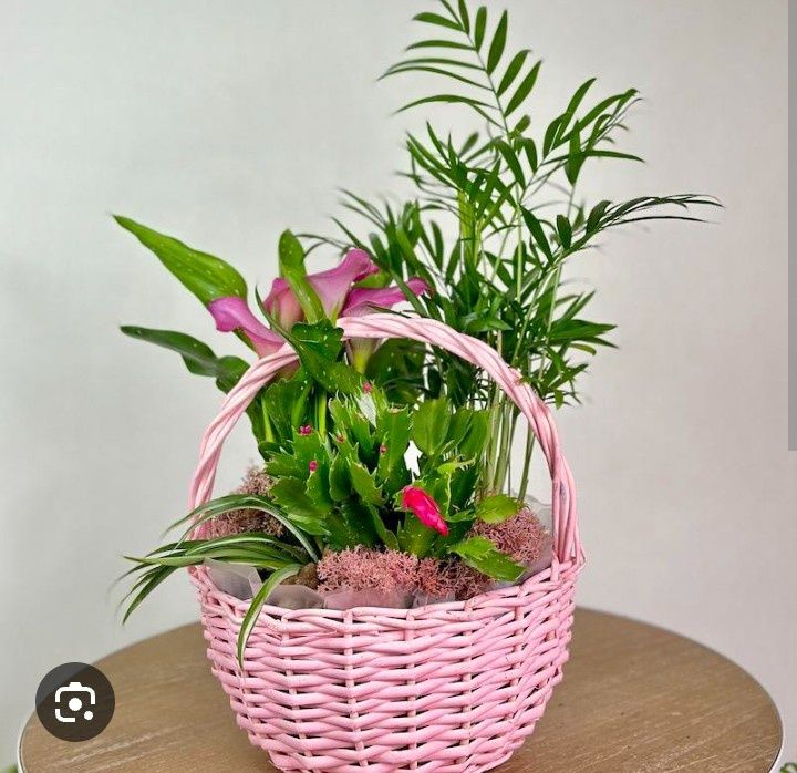 Уютные и Красивые для Вас