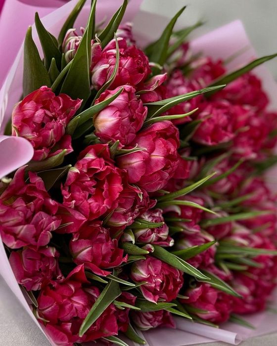 ТЮЛЬПАНЫ! ежегодная продажа.