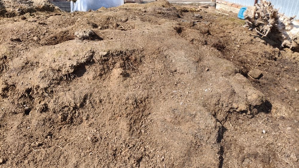 Коровий навоз Бесплатно самовывоз