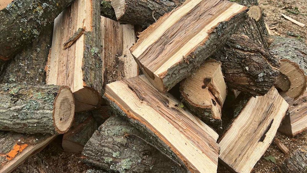 Дърва за огрев варна