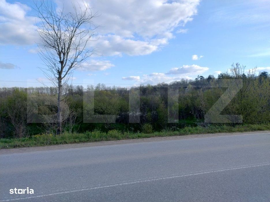 Teren padure 10 ha, extravilan, 400 ml deschidere, stradal, zona Breas