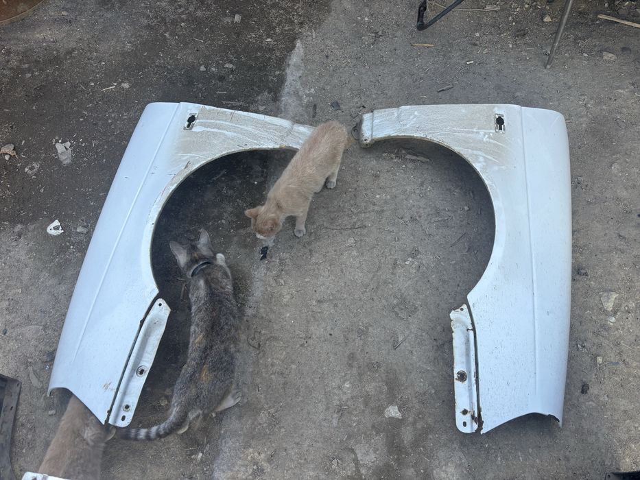 Продам крылья и бампер белого цвета