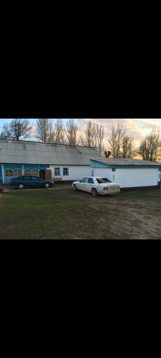 Продаётся дом, яблоневый сад, фазенда!!