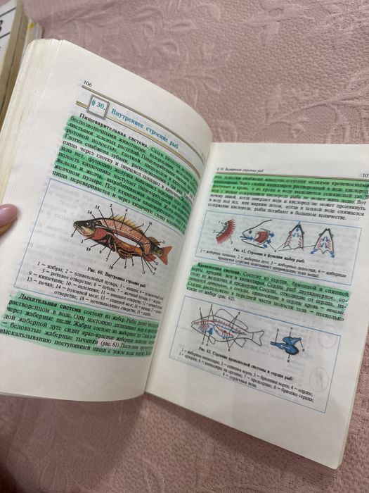 Биология 7 класс