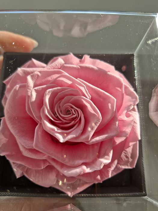 Cadou inedit! Trandafir criogenat si bijuterie!