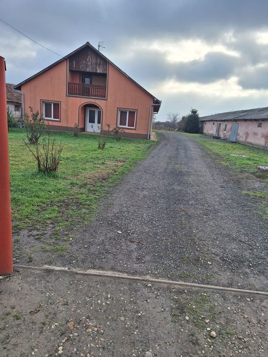 Proprietate mixtă de vânzare în Nădlac Județul Arad Casă modernă + hală/grajd + teren generos 
 Casă modernă + hală/grajd + teren generos 5.654 mp