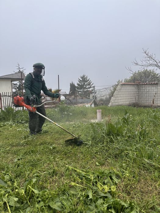 Разчистване на дворове, мулчиране, почистване на неподдържани парцели