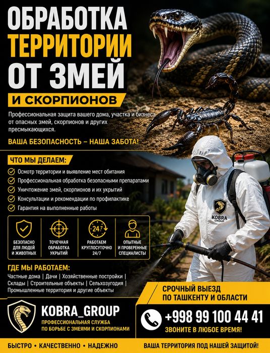 Ilon va Chayonlarni Yoq Qilish Xizmati Dezinfeksiya Dizinfeksiya Дизин
