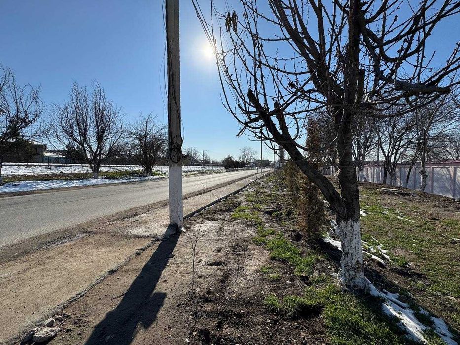 Продается участок 78 соток, 1-линия, Лимонарий (87648)