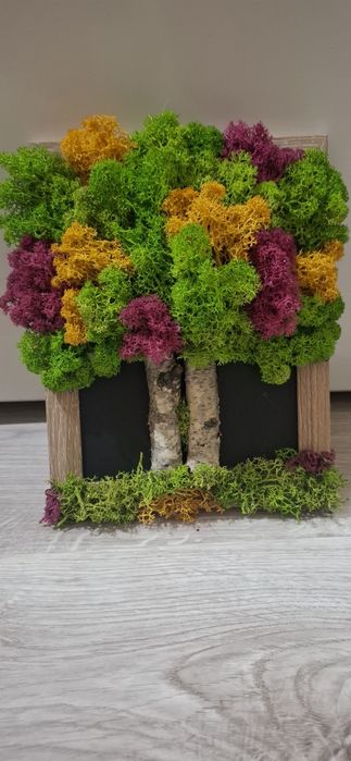 Дървото на живота от скандинавски мъх различни размери в рамка