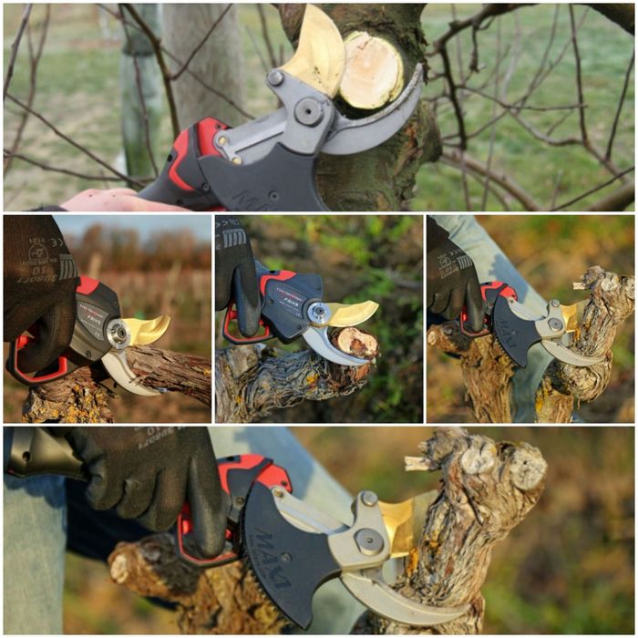 Toaletare taiere curatare formare fructificare pomi fructiferi ,copaci