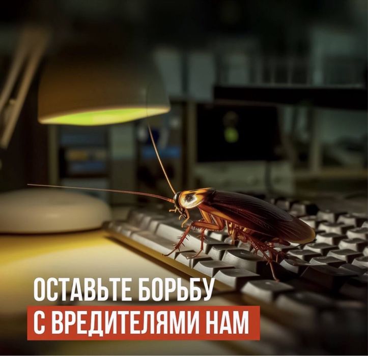 Дезенфекция дизенфекция дезинфекция дизинфекция dizinfeksiya