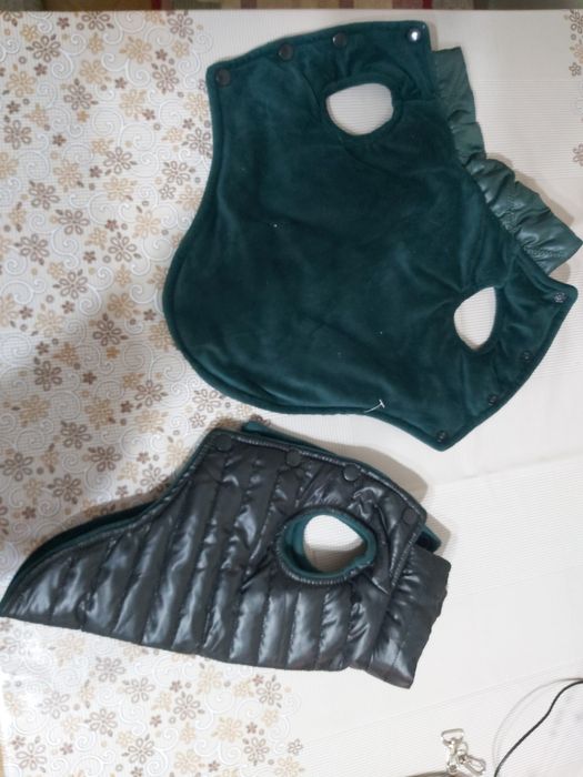 Собаки кошки товары