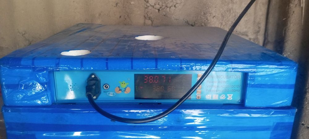 Инкубатор 120 талик