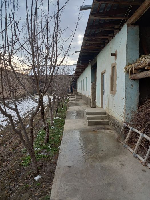 Уй сотилади 8 сутих