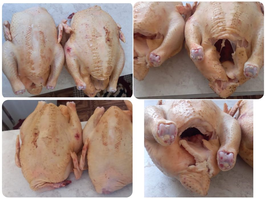 Продам домашних бройлеров