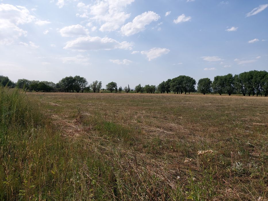 Сдается в аренду 2.2 га участок